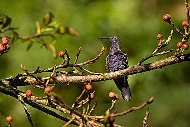 传闻：《巫师3：狂猎》次世代实体版本月推出